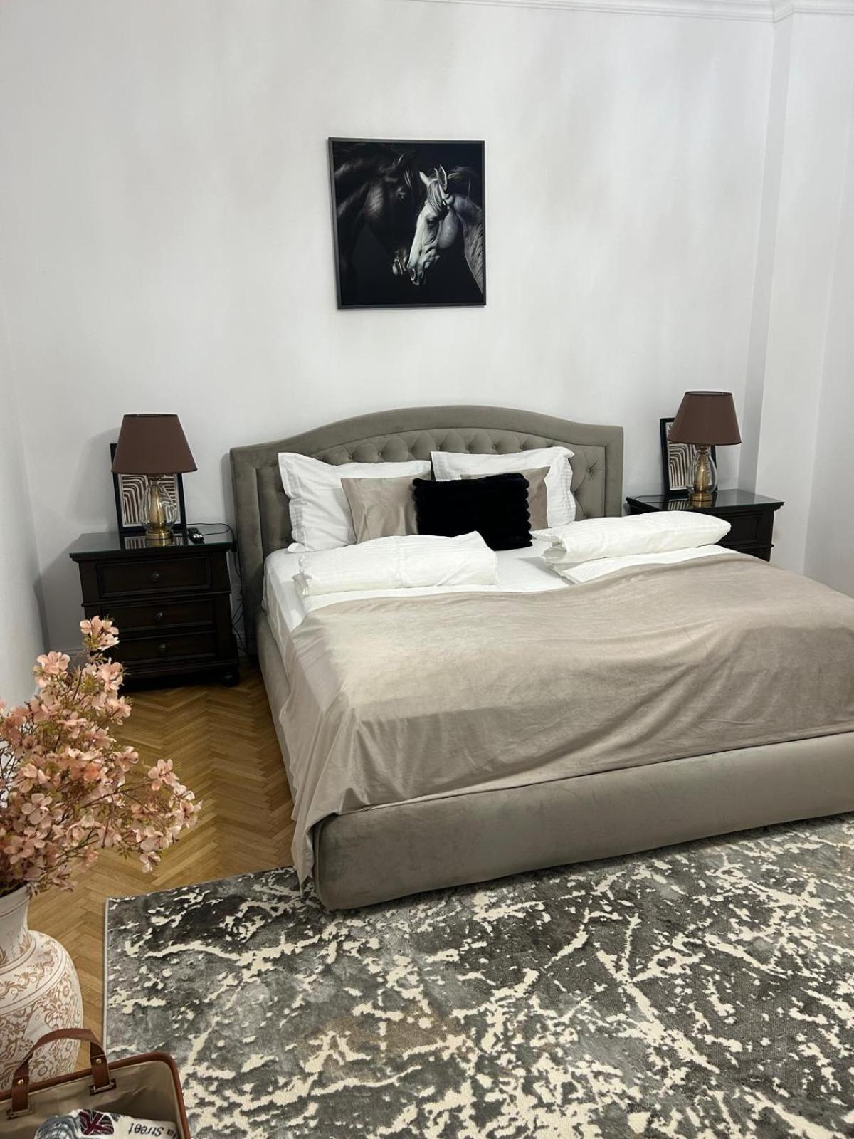 Rennes Apartment Σίμπιου Εξωτερικό φωτογραφία